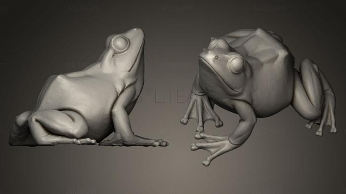 3D модель Лягушка (STL)